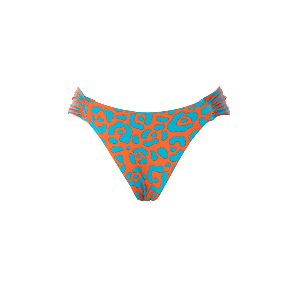 BRASILEÑA MARIPOSA LEOPARDO NARANJA CON AZUL